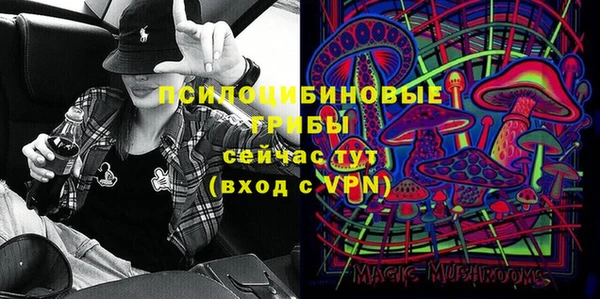 2c-b Богородск