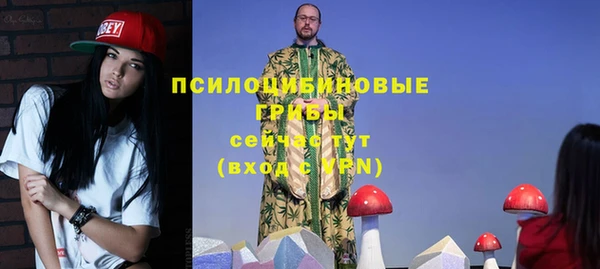 спиды Бородино