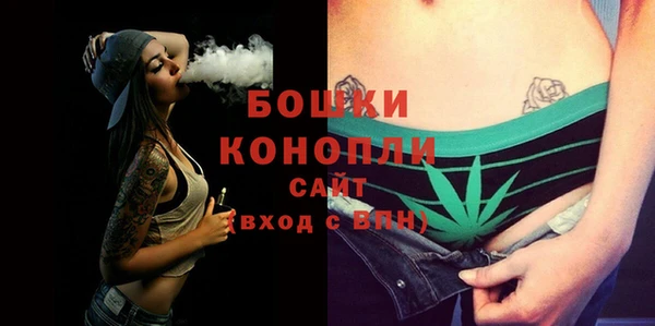 спиды Бородино