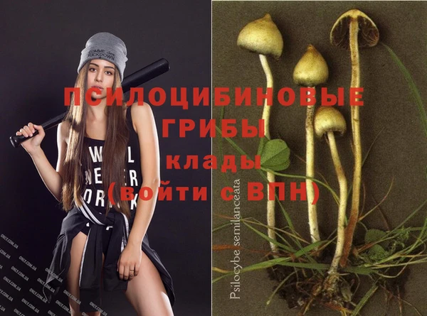 спиды Бородино