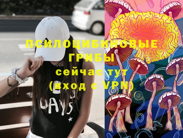 MDMA Premium VHQ Бронницы