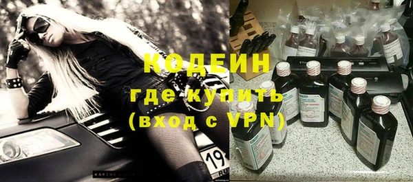 спиды Бородино