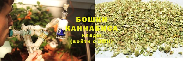 спиды Бородино
