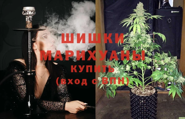 спиды Бородино